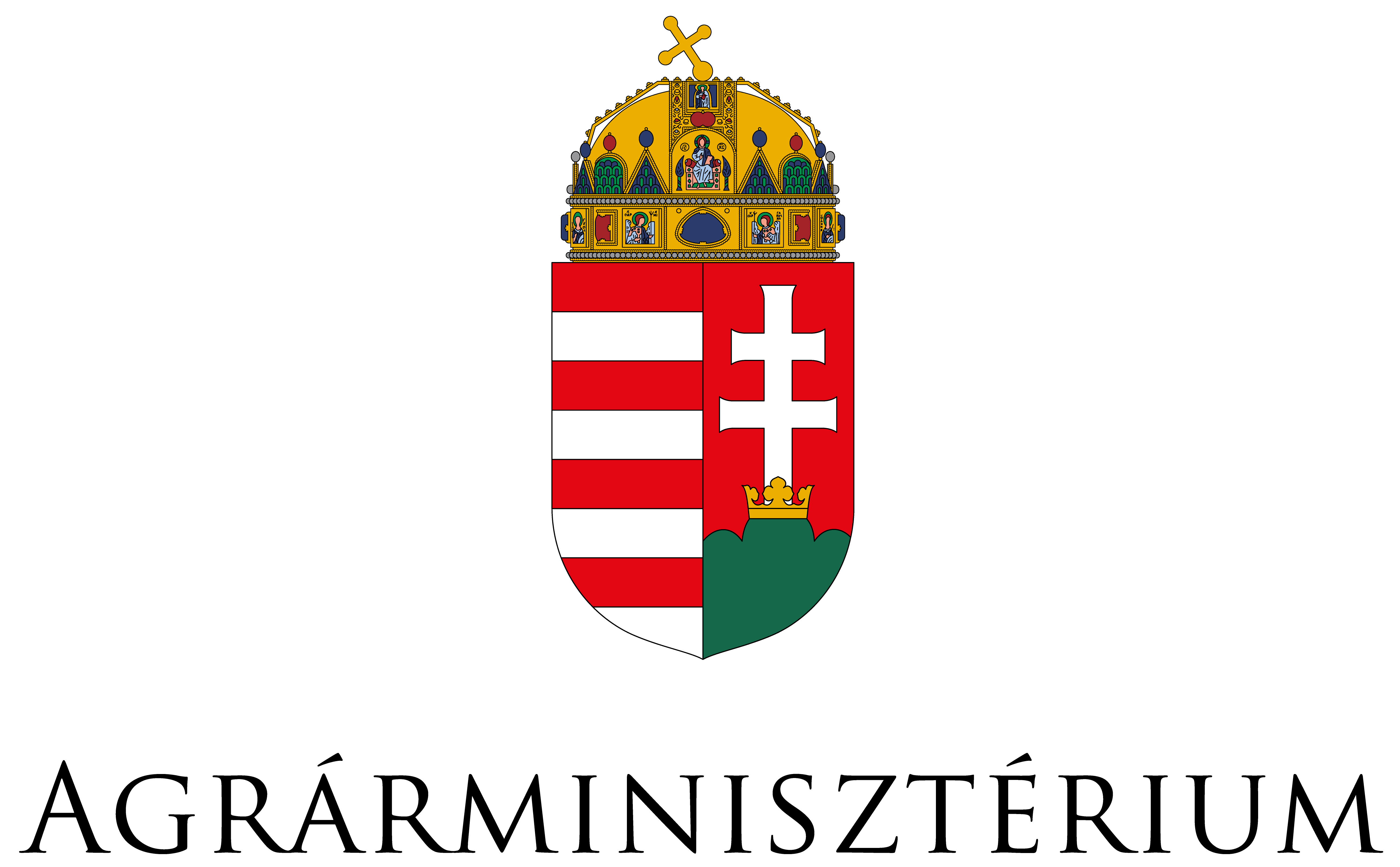 am logo szines 01